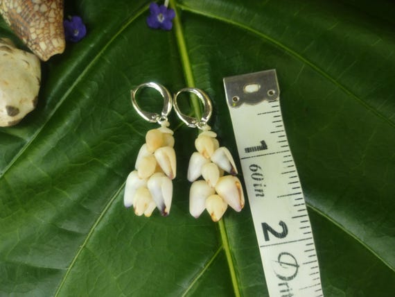 Shell Earrings Kauai Kahelelani Shell Earrings Hawaiian Momi Shell Earrings Momi Shells Kahelelani Shells Kauai Momi Shells Niihau Shell