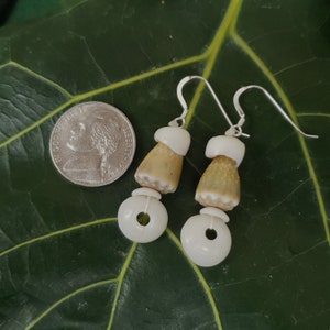 Puka Shell Earrings Hawaiian Style Jewelry  Kauai Mermaids Earrings Puka Shell Jewelry Puka Shell Earrings Hawaii Shell Jewelry Puka Shells
