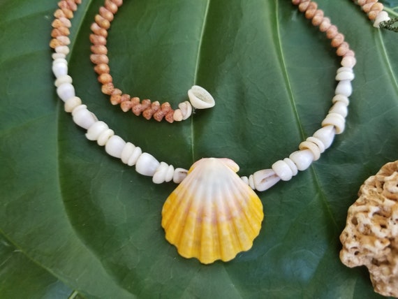 Sunrise Shell Lei: 19' Inch, Kauai Kahelelani Shells, Puka Shells, Dwarf Cone Shells, Rare Shells, Langford Pectin