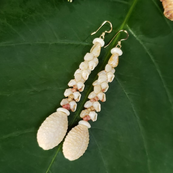 Shell Earrings Kauai Granulate Cowrie Shell Earrings Hawaiian Shell Earring Momi Shells Kahelelani Shells Kauai Ni'ihau Shells Momi shell