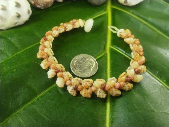 Momi Shell Bracelet Momi Kahelelani Shell Bracelet Hawaiian Shell Jewelry Kauai Eco-Friendly Collected Shells Kauai Shells Rare Shells Aloha