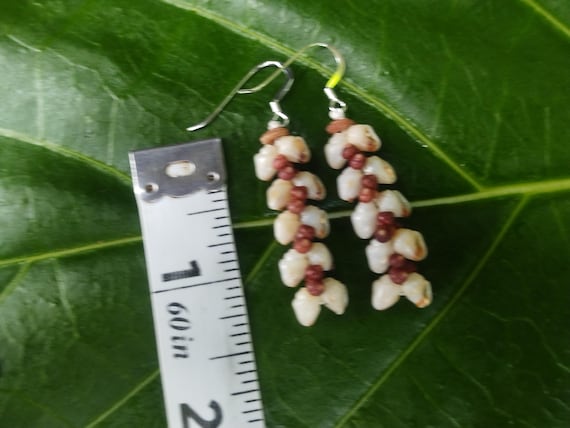 Momi Kahelelani Shell Earrings: Kauai Momi Shells, Burgundy Kahelelani Shells, Sundial Shells, Sterling Silver, Endemic Hawaiian Shells