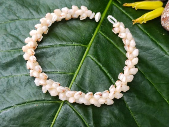 Kahelelani Shell Anklet Kahelelani Shells Beach Anklet Hawaii Shell Anklet Shell Jewelry Hawaii Kahelelani Shell Niihau Shell Kauai Shell