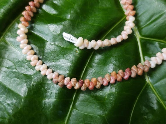 Shell Jewelry Shell Necklace Shell Lei Rare Shells Puka Shell Jewelry Shells Kauai Shell Necklace Hawaii Shell Jewelry Kahelelani Shell Lei
