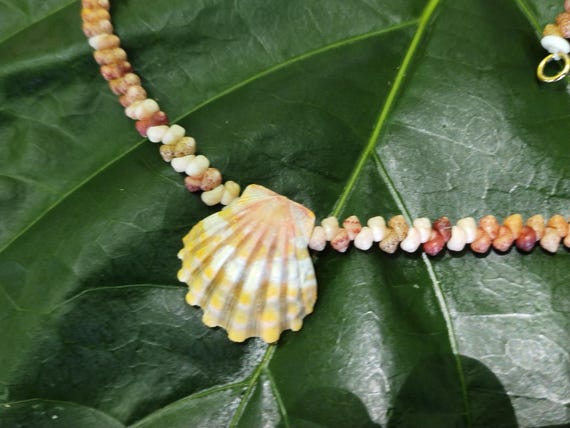 Sunrise Shell Lei: 19.75' inch, Kauai Kahelelani Shells,  14kt Gold Clasp, Langford Pectin Shell,  Kauai Handmade Niihau Shell Necklace