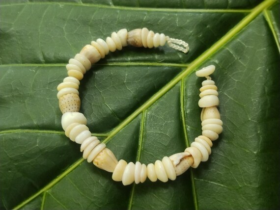Puka Shell Bracelet Hawaiian Puka Shell Jewelry Puka Shells Beach Bracelet Kauai Puka Shell Bracelet Island Seashell Jewelry Eco Friendly