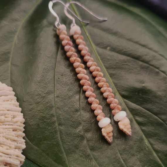 Shell Earrings Kahelelani Shell Earrings Hawaiian Tiny Triton Shells Kauai Eco Friendly Collected Shells Purple Gyre Triton Shells RareShell