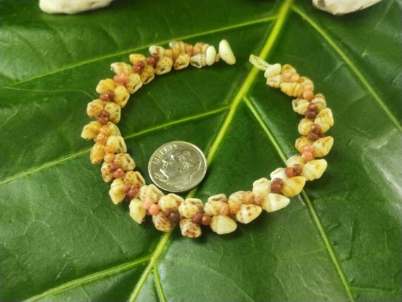 Momi Shell Bracelet Momi Kahelelani Shell Bracelet Hawaiian Shell Jewelry Kauai Eco-Friendly Collected Shells Kauai Shells Rare Shells Aloha