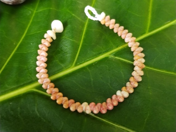 Kids Shell Bracelet Keiki Shell Jewelry Shells Kauai Kahelelani Keiki Shell Bracelet Rare Shells Beach Bracelet Shell Childs Shell Bracelet