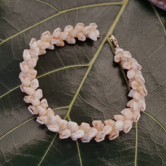 Momi Shell Bracelet Momi Kahelelani Shell Bracelet Hawaiian Shell Jewelry Kauai Eco-Friendly Collected Shells Kauai Shells Rare Shells Aloha