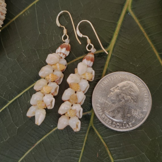 Momi Shell Earrings Kauai Momi Shell Earrings Hawaiian Shell Earrings Momi Shells Kahelelani Shells Kauai Beach Shells Ni'ihau Shells