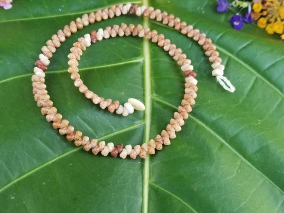 Shell Jewelry Shell Necklace Shell Lei Rare Shells Puka Shell Jewelry Shells Kauai Shell Necklace Hawaii Shell Jewelry Kahelelani Shell Lei
