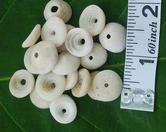 Conchas de puka de Kauai: Conchas de puka sueltas con agujeros