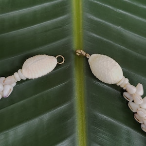 Puka Shell Necklace Puka Shell Lei Kauai Puka Shell Jewelry Rare Shells ...