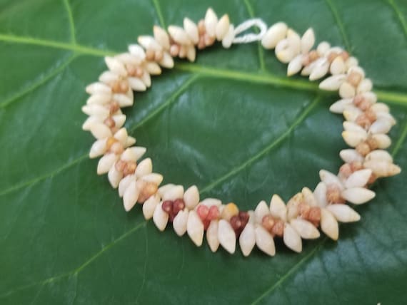 Kahelelani Shell Bracelet Laike Shell Bracelet Kauai Art Shell Jewelry Natural Eco Friendly Hand Picked Shells Niihau Shells Collected Kauai