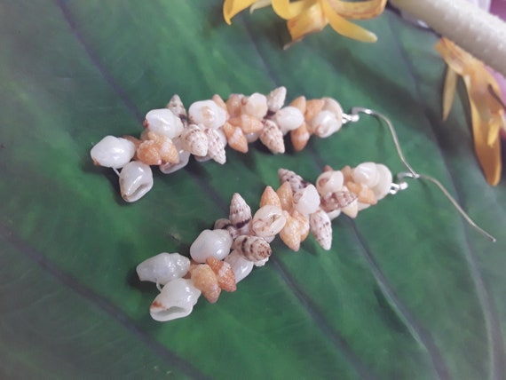 Momi Shell Earrings Kauai Shell Earrings Hawaiian Shell Earrings Rare Momi Kahelelani Shells Kauai Rare Shells Kauai Shells Kahelelani Shell
