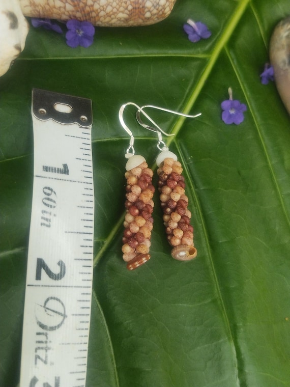 Kahelelani Shell Earrings: Kahelelani Shells, Sundail Shells, Puka Shells, Sterling Silver, 50lb Nylon String, Hawaiian Shell Jewelry, Kauai