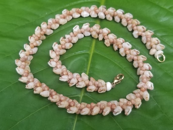 Kahelelani Shell Necklace Kahelelani Shell Jewelry Shell Necklace Kauai Shells Hawaii Jewelry Mermaids Jewelry Kauai Ni'ihau Shells Lei