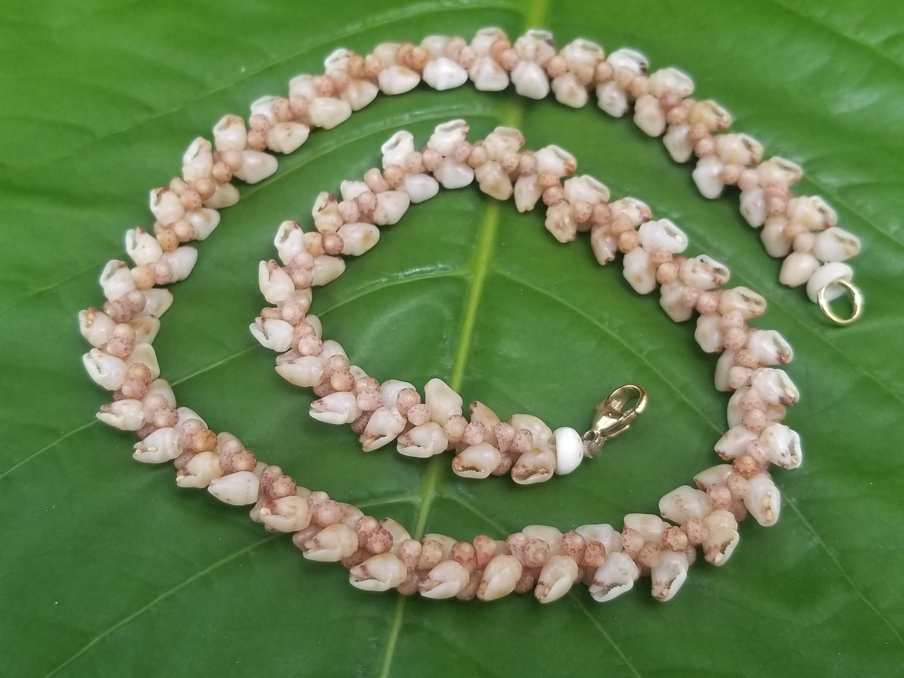 Kahelelani Shell Necklace Kahelelani Shell Jewelry Shell Necklace Kauai Shells Hawaii Jewelry Mermaids Jewelry Kauai Ni ihau Shells Lei