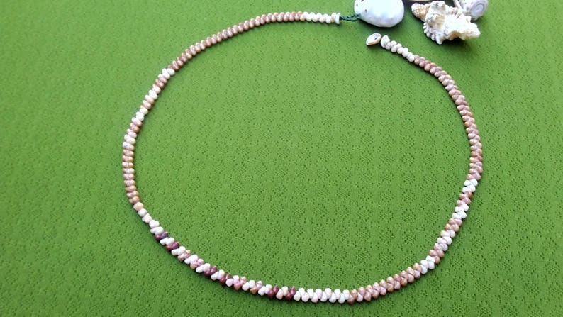 Kauai Necklace Shell Lei Shell Necklace Shell Necklace Beach Jewelry Hawaii Shell Jewelry Rare Shells Kauai Shells