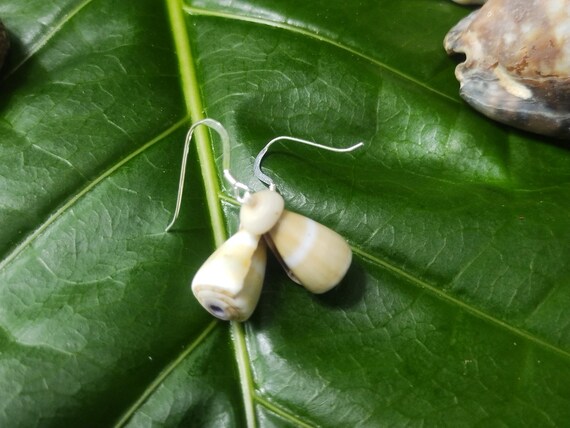 Puka Shell Earrings Hawaiian Style Jewelry  Kauai Mermaids Earrings Puka Shell Jewelry Puka Shell Earrings Hawaii Shell Jewelry Puka Shells