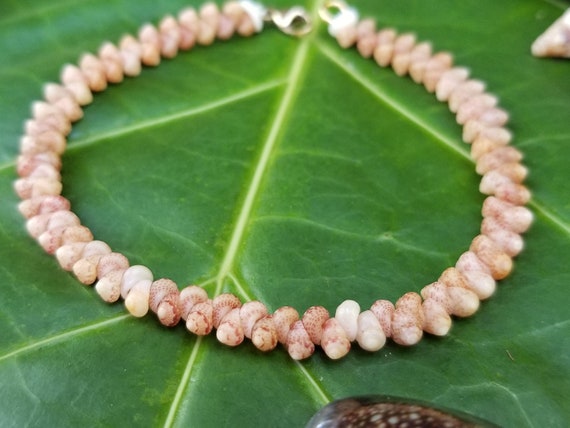 Kahelelani shell Bracelet Sea Shell Bracelet Kauai Shell Jewelry Eco Friendly Natural Shell Bracelet Kauai Kahelelani Shells Hawaiian Shells
