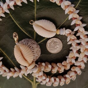 Shell Necklace Kauai Laiki Shell Lei Kahelelani Necklace Rare Laike