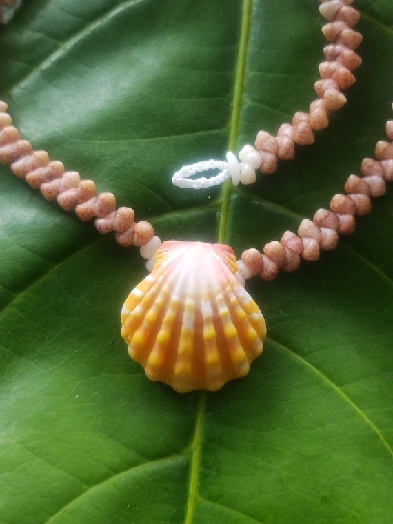 Sunrise Shell Lei: Kauai Kahelelani Shells, Sunrise Shell, Puka Shells, Hawaii Shells Beach Jewelry, Eco-Friendly Collected Rare Shells