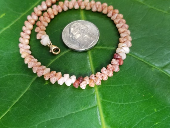 Kahelelani Shell Anklet Kahelelani Shells Beach Anklet Hawaii Shell Anklet Shell Jewelry Hawaii Kahelelani Shell Niihau Shell Kauai Shell