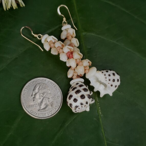 Momi Shell Earrings Kauai Kahelelani Shell Earrings Hawaiian Murex Shells Momi Shells Kahelelani Shells Kauai Beach Shells Hawaiian Shells