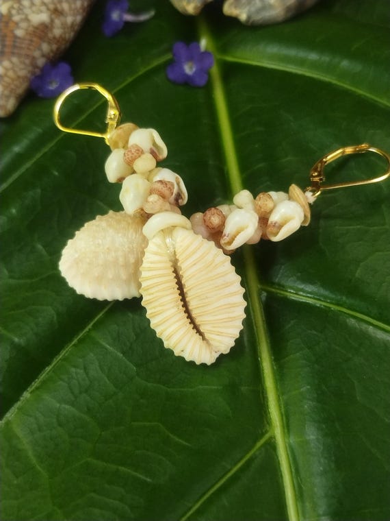 Momi Shell Earrings: 1.75' Inch, Kahelelani Shells, Granulate Cowrie, Sundial Shells, 14kt Gold Filled Lever backs, Hawaiian Earrings