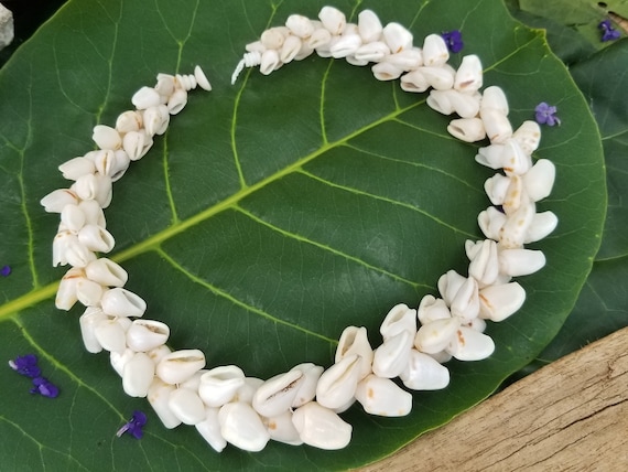 Alilea Shell Lei Hawaiian Stromb Shell Necklace Shell Lei Rare Shells Puka Shell Jewelry Shells Kauai Shell Necklace Hawaii Shell Jewelry