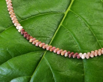 Kahelelani Shell Lei: Kahelelani Shells, Puka Shells, Hawaiian Shell Necklace, Kauai Hawaii Shell Necklace, Beach Necklace, Mermaid Gift