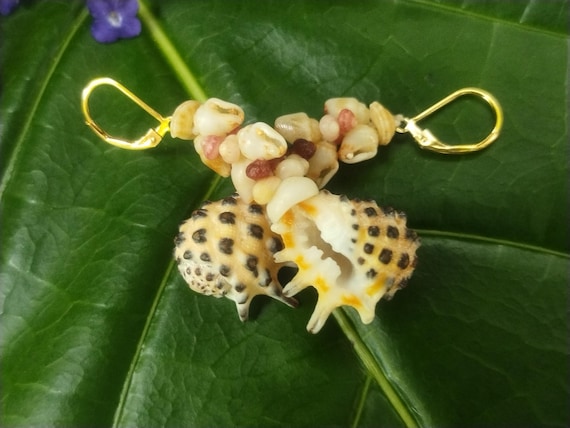 Kauai Momi & Kahelelani Shell Earrings: Rare Hawaiian Jewelry