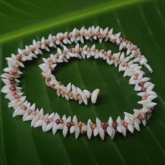Shell Necklace Kauai Laiki Shell Lei Kahelelani Necklace Rare Laike Shell Necklace Traditional Hawaiian Jewelry Art Jewelry Momi Shell Lei