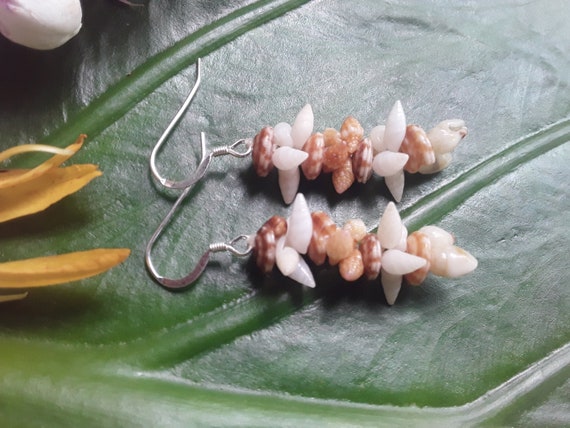 Shell Earrings Kauai Kahelelani Shell Earrings Hawaiian Shell Earrings Heleconia Traditional Weave Rare Momi Kahelelani Shells from Kauai