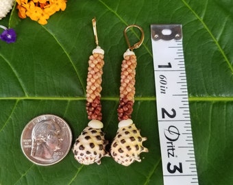 Hawaiian Drupe Shell Earrings Kauai Kahelelani Shell Earrings Eco Friendly Island Earrings Authentic Kauai Kahelelani Shells Rare Shells