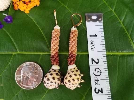 Hawaiian Drupe Shell Earrings Kauai Kahelelani Shell Earrings Eco Friendly Island Earrings Authentic Kauai Kahelelani Shells Rare Shells