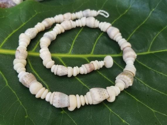 Puka Shell Necklace: 15.5' inch, Abbreviated Cone Shells, Puka Shells, Kauai Puka Shell Jewelry, Rare Shells, HandMade Jewelry
