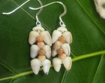 Kahelelani Shell Earrings: Hawaiian Island Jewelry, Sterling Silver Dwarf Cone Shell Earrings  Rare Shell Gem Hawaiian Style Jewelry