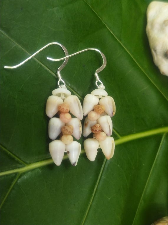 Shell Earrings Kahelelani Shell Earrings Hawaiian Shell Jewelry Kauai Eco Friendly Collected Kauai Shells Island Jewelry Beach Earrings