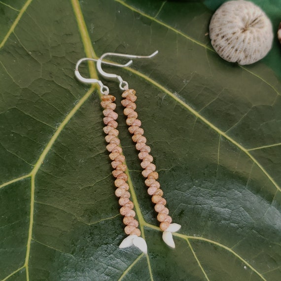 Shell Earrings Kahelelani Shell Earrings Hawaiian Shell Jewelry Shells Niihau Shell Niihau Earrings Kauai Niihau Shell Earrings Rare Shells