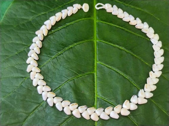 Dwarf Cone Shell Necklace Puka Shell Lei Kauai Puka Shell Jewelry Rare Shells Kauai Made Hawaiian Style Gathered Eco Friendly Collected