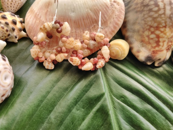 Shell Earrings Kauai Shell Hoop Earrings Hawaiian Shell Earrings Kahelelani Shells - Kauai Shells - Kauai Wedding Gift - Rare Shell Jewelry