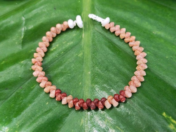 Kauai Kahelelani Shell Bracelet: Kahelelani Shells, Puka Shells Keiki Bracelet, Child Size Hawaiian Bracelet, Rare Gem Shell Jewelry,