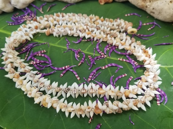 Kahelelani Shell Necklace Momi Shell Jewelry Momi Shell Necklace Kauai Shells Hawaii Jewelry Mermaids Jewelry Kauai Momi Ni'ihau Shells Lei