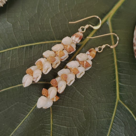 Shell Earrings Kauai Momi Shell Earrings Hawaii Shell Earrings Momi Shells Kahelelani Shells Kauai Shell Hawaii Shell Momi Ni'ihau Shell