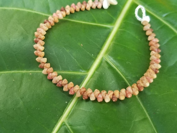 Kahelelani shell Bracelet Sea Shell Bracelet Kauai Shell Jewelry Eco Friendly Natural Shell Bracelet Kauai Kahelelani Shells Hawaiian Shells