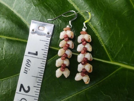 Shell Earrings Kauai Kahelelani Shell Earrings Hawaiian Momi Shell Earrings Momi Shells Kahelelani Shells Kauai Momi Shells Niihau Shell