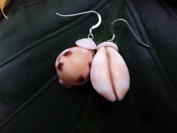 Checkered Cowrie Shell Earrings Cowrie Shell Earrings Puka Shell Earrings Shells Authentic Kauai Shell Jewelry Hawaiian Checkered Cowrie